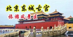 插入小穴中出视频中国北京-东城古宫旅游风景区